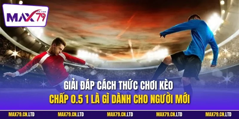 Giải đáp cách thức chơi kèo chấp 0.5 1 là gì dành cho người mới