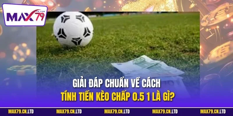 Giải đáp chuẩn về cách tính tiền kèo chấp 0.5 1 là gì?