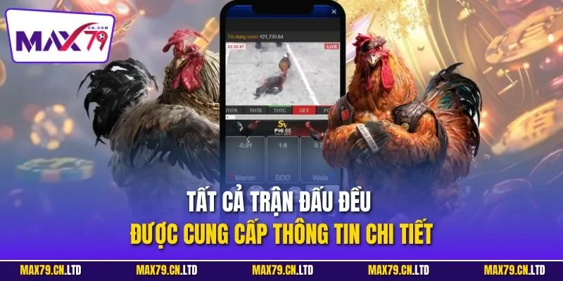 Tất cả trận đấu đều được cung cấp thông tin chi tiết